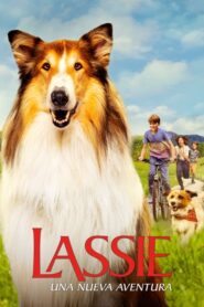 Lassie: Una nueva aventura