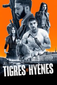 Tigres et Hyènes (Tigres y hienas)